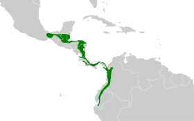 Distribución geográfica del batará café.