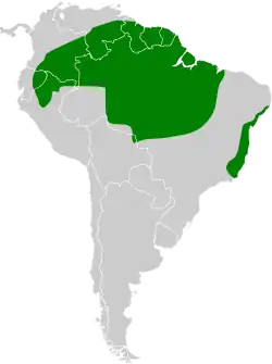 Distribución geográfica del batará cinéreo.