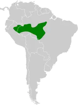 Distribución geográfica del batará saturnino.