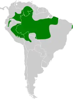 Distribución geográfica del batará hombroblanco.
