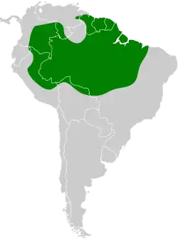 Distribución geográfica del batará amazónico.