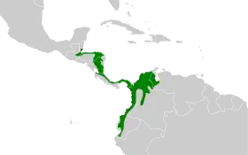 Distribución geográfica del batará pizarroso occidental.