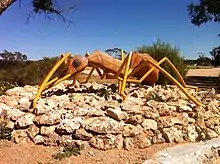 A large yellow sculpture of Nothomyrmecia is located in Poochera