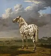 Caballo pinto, de Paulus Potter (ca. 1650).