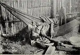 Genocidio del Putumayo de 1879 a 1912.
