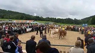 Exposición Nacional del Ganado Simmental y Campeonato Regional del Caballo Hucul.