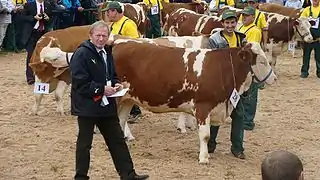 Exposición Nacional del Ganado Simmental y Campeonato Regional del Caballo Hucul.