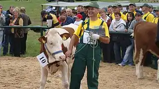 Exposición Nacional del Ganado Simmental y Campeonato Regional del Caballo Hucul.