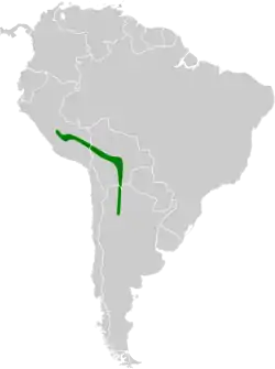 Distribución geográfica de la tangara alisera.