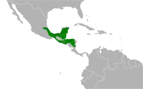 Distribución geográfica de la tangara aliamarilla.