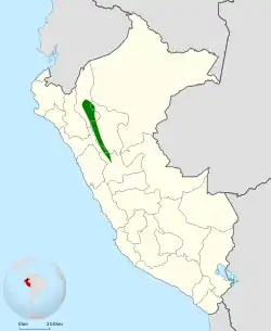 Distribución geográfica del colasuave dorsirrufo.