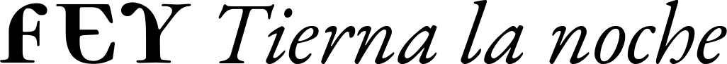 Tierna-La-Noche-Logo