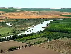 Paisaje cultural de la fortaleza de Diyarbakır y jardines del Hevsel