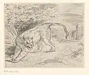 Tigre atrapado, única obra de impresión en vidrio de Eugène Delacroix,1854. Por lo general, se imprime al revés.