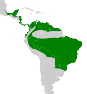 Distribución geográfica de la titira coroninegra.