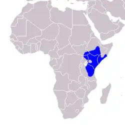 Distribución del toco keniata