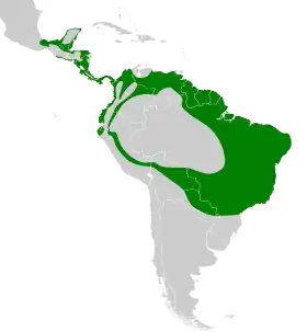 Distribución geográfica del titirijí común.