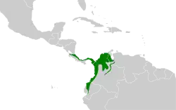 Distribución geográfica del titirijí cabecinegro.