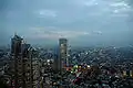 Vista al anochecer desde el Edificio Metropolitano de Tokio.