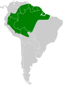 Distribución geográfica del picoplano aliamarillo.