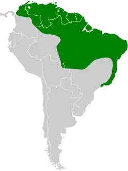 Distribución geográfica del picoplano pechiamarillo.
