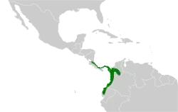 Distribución geográfica del picoplano aliamarillo del Pacífico.