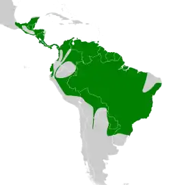 Distribución geográfica del picoplano sulfuroso.