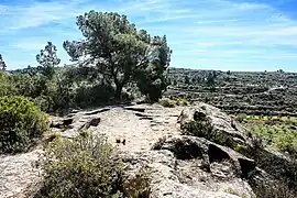 Las tumbas del Saladar