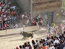 Toro Enmaromado