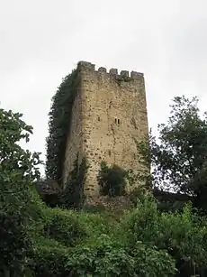 Vista de la torre de Mogrovejo.