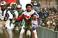 Palio dei Somari de Torrita di Siena.