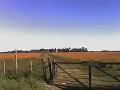 Explotación agropecuaria.