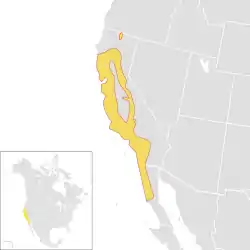California thrasher range