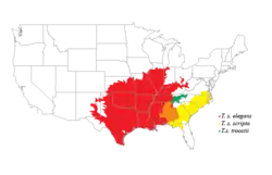 Distribución de sus subespecies en EEUU.