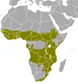 Distribución del antílope jeroglífico