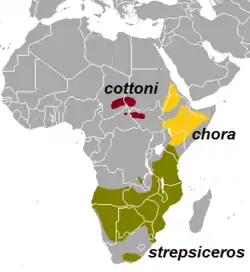 Distribución de las subespecies de kudú mayor