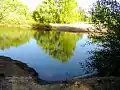 La Ribera de General Roca es uno de los lugares con mayor tranquilidad en el sector para ser disfrutado en familia.