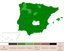 Distribución de Trifolium Campestre por España y Portugal