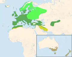 Distribución del mirlo común (Turdus merula):