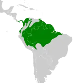 Distribución geográfica del mosquerito coronado.