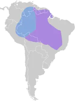 Distribución geográfica del tirano gorgiblanco.