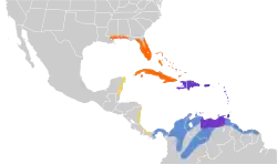 Distribución geográfica del tirano dominicano.