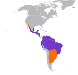 Distribución geográfica del tirano melancólico