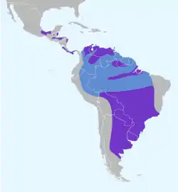 Distribución geográfica de la tijereta sabanera.