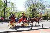 Calesa turística de caballos.