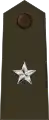 General de brigada del Ejército.