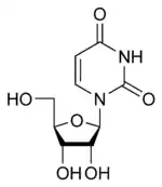 Chemical structure of uridine