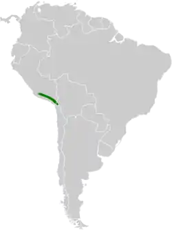 Distribución geográfica de la bandurrita de Arica.