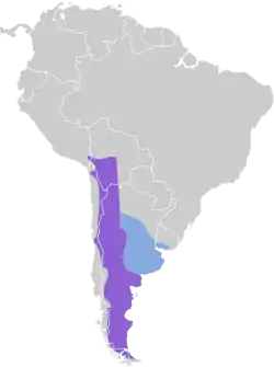 Distribución geográfica de la bandurrita común.