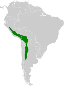 Distribución geográfica de la bandurrita ocrácea.